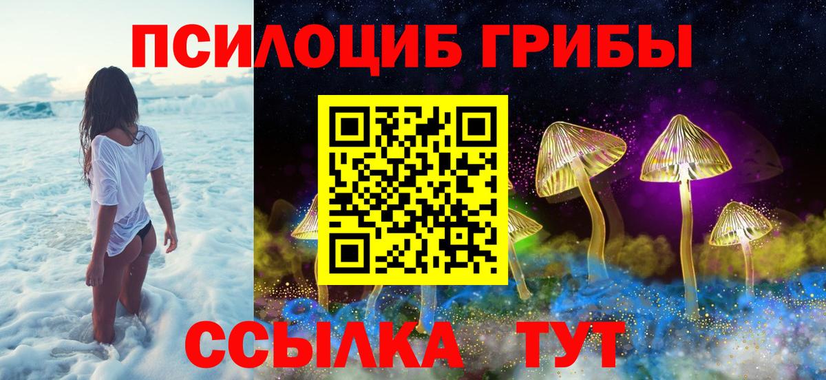 Псилоцибиновые грибы мицелий Ульяновск
