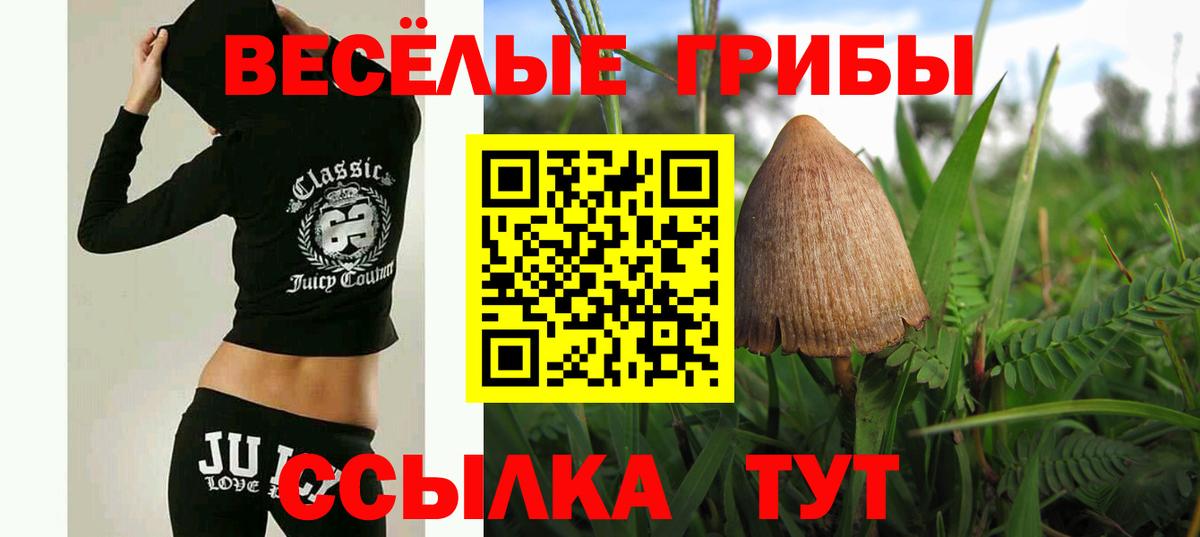 Ульяновск  Галлюциногенные грибы Magic Shrooms  Вход с VPN 